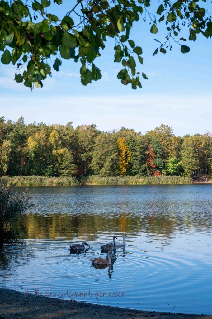 Güterfelder Haussee